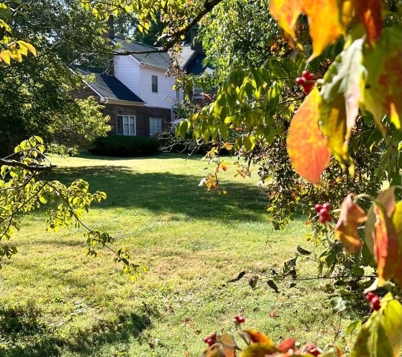 Photo of Others in Versailles