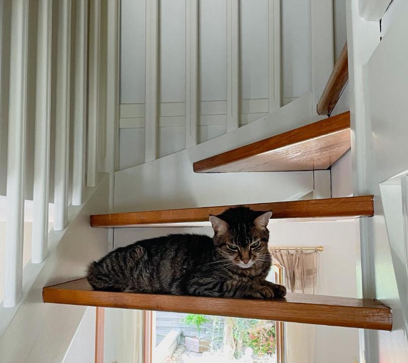 Photo of Others in Athee-sur-Cher