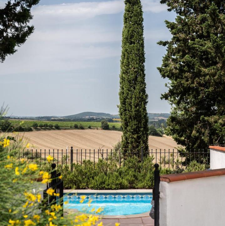 Photo of Others in Montreal