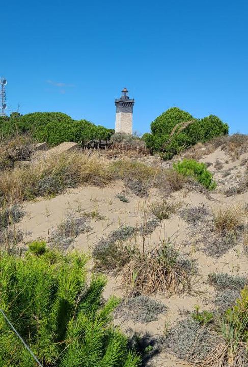Photo of Others in Le Grau-Du-Roi