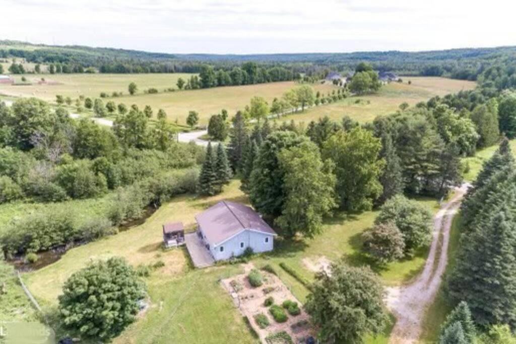 Photo of Others in Oro-Medonte