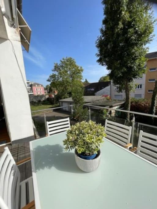 Photo of Others in Sarreguemines