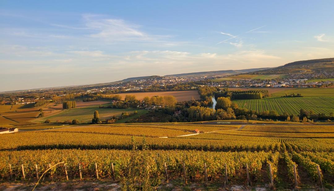 Photo of Others in Damery