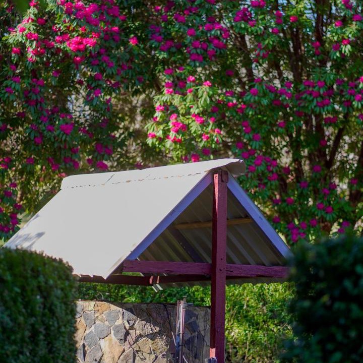 Photo of Others in Mount Wilson