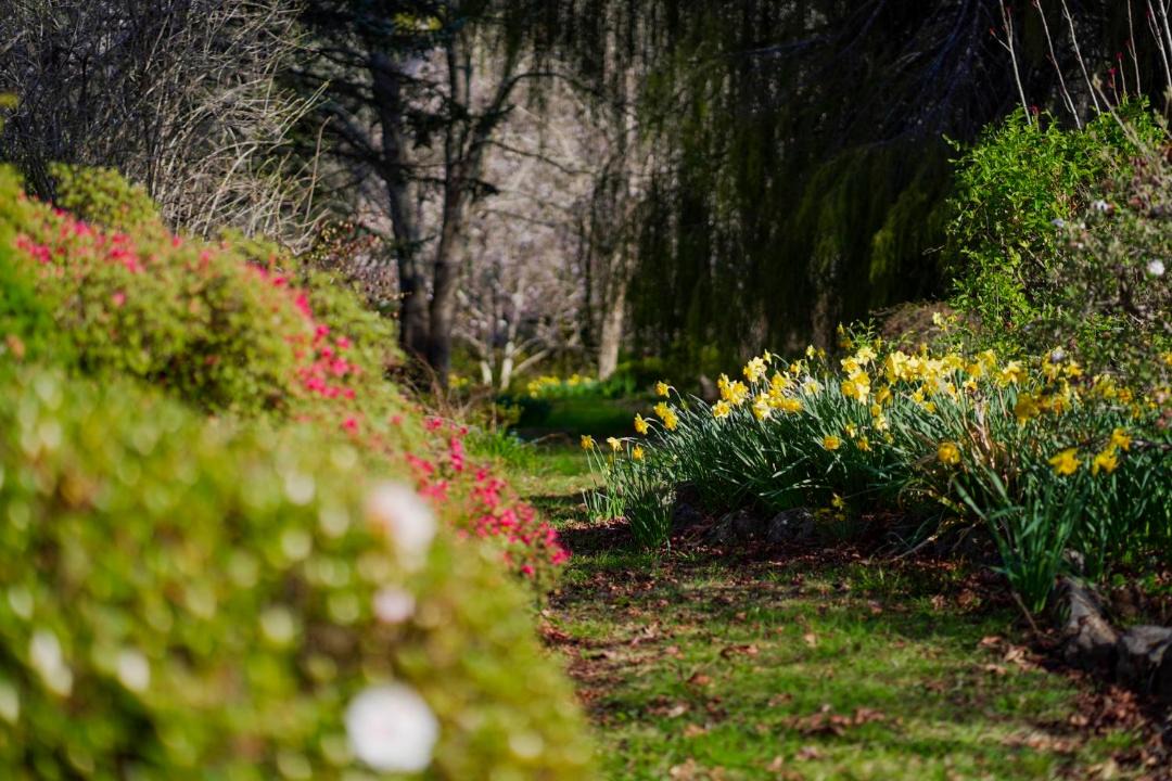 Photo of Outdoor in Mount Wilson