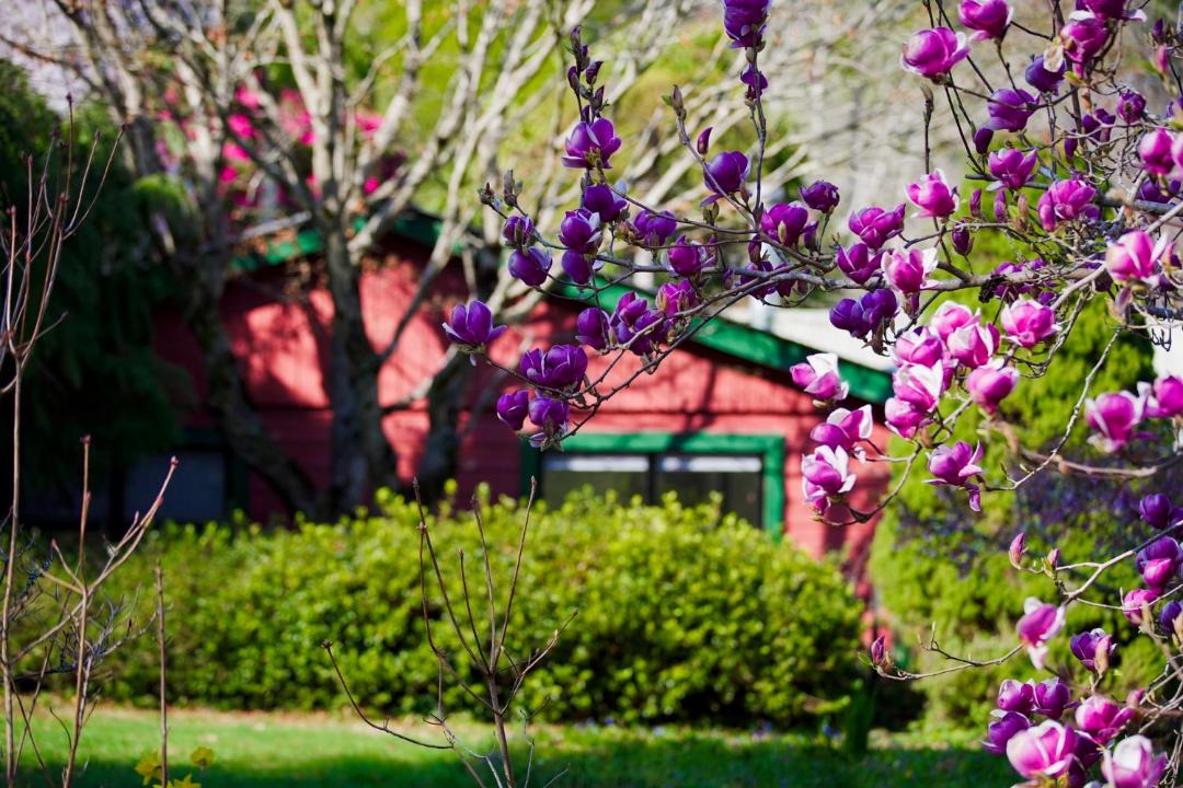 Photo of Others in Mount Wilson