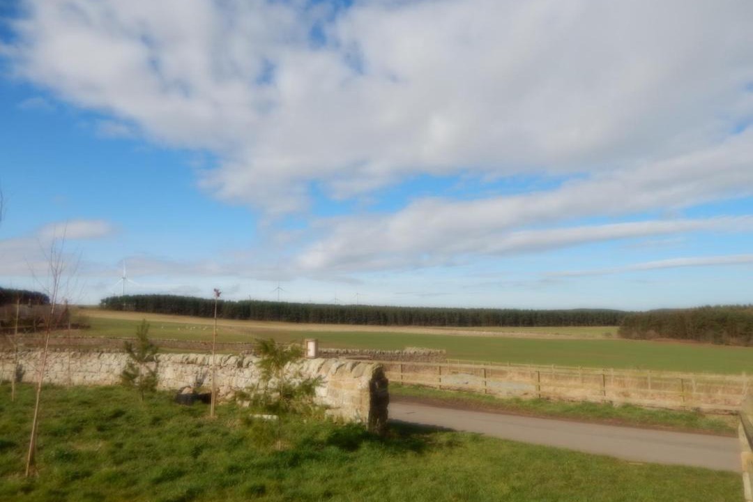 Photo of Others in Wandylaw