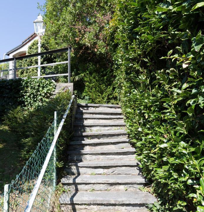 Photo of Others in Ascona