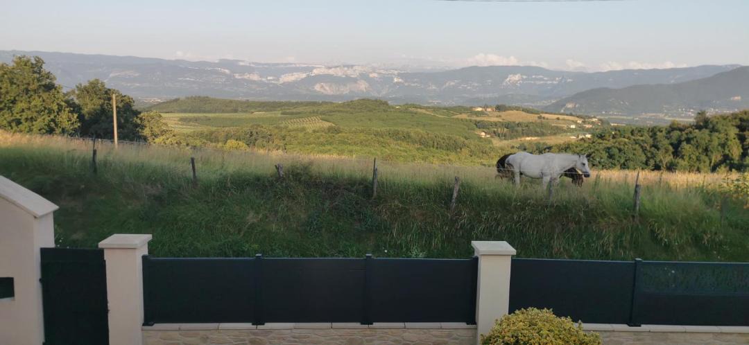 Photo of Others in Parnans