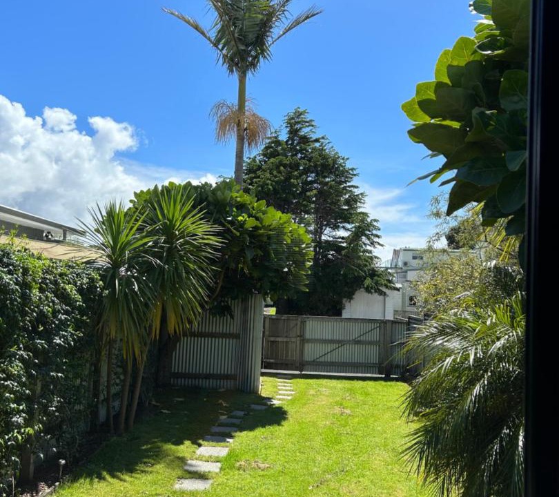 Photo of Others in Whitianga