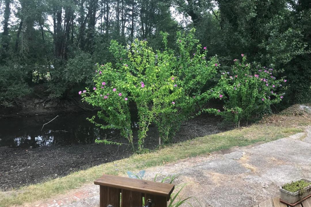 Photo of Others in Menesplet