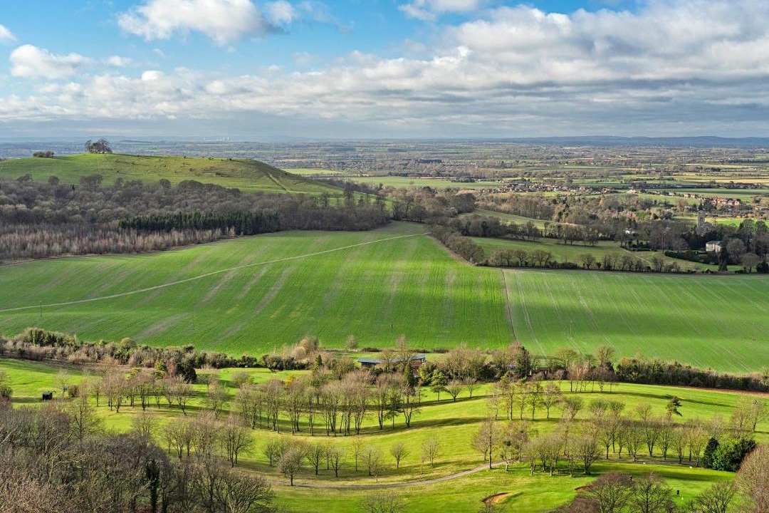 Photo of Others in Lacey Green