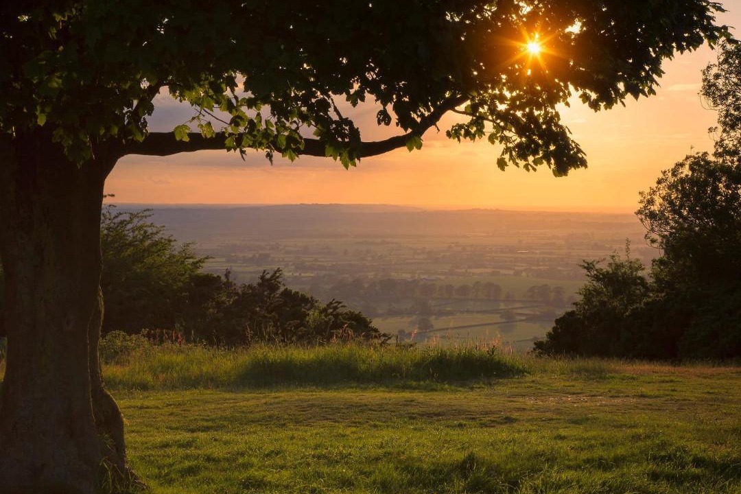 Photo of Others in Lacey Green