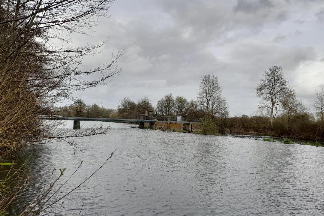 Photo of Others in Aubigne-Racan
