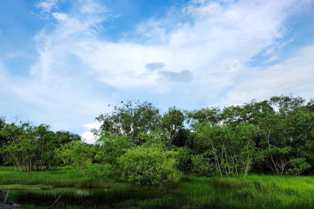 Photo of Others in Kangar