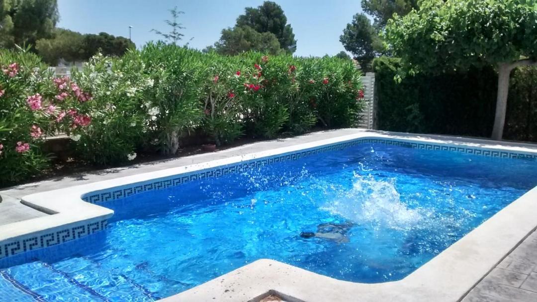 Photo of Outdoor in Calafat