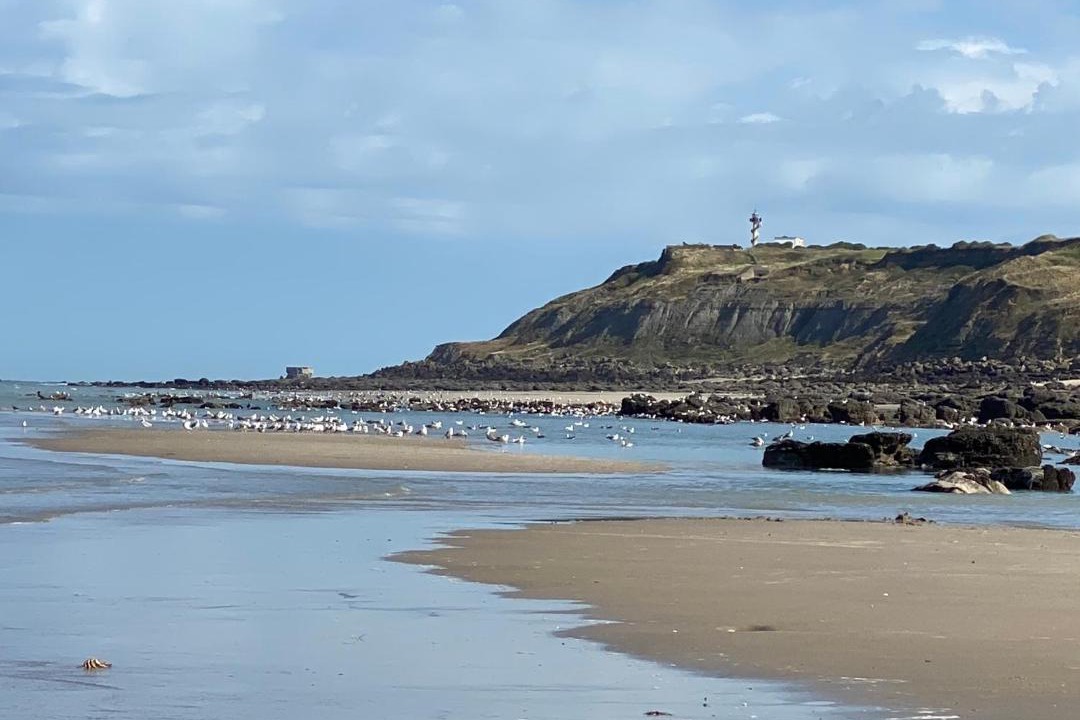 Photo of Others in Saint-Etienne-au-Mont