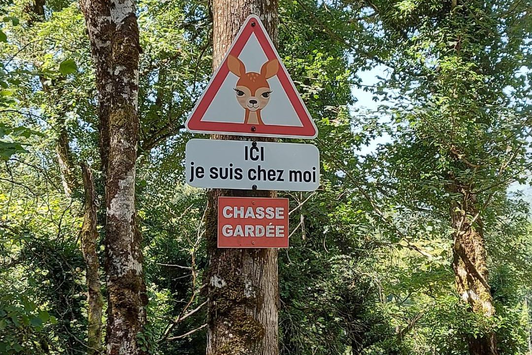 Photo of Others in Bouvante