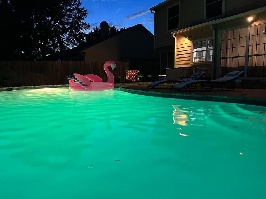 Photo of Others in South Arlington