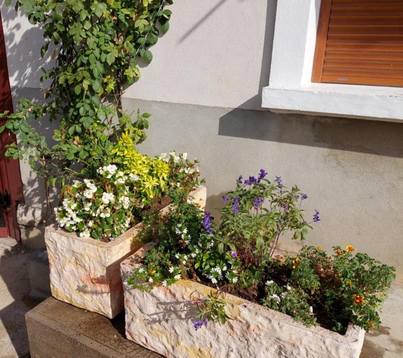 Photo of Others in Beaucroissant