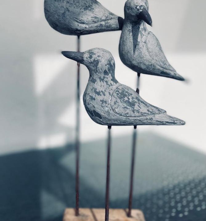 Photo of Others in Eguzon-Chantome