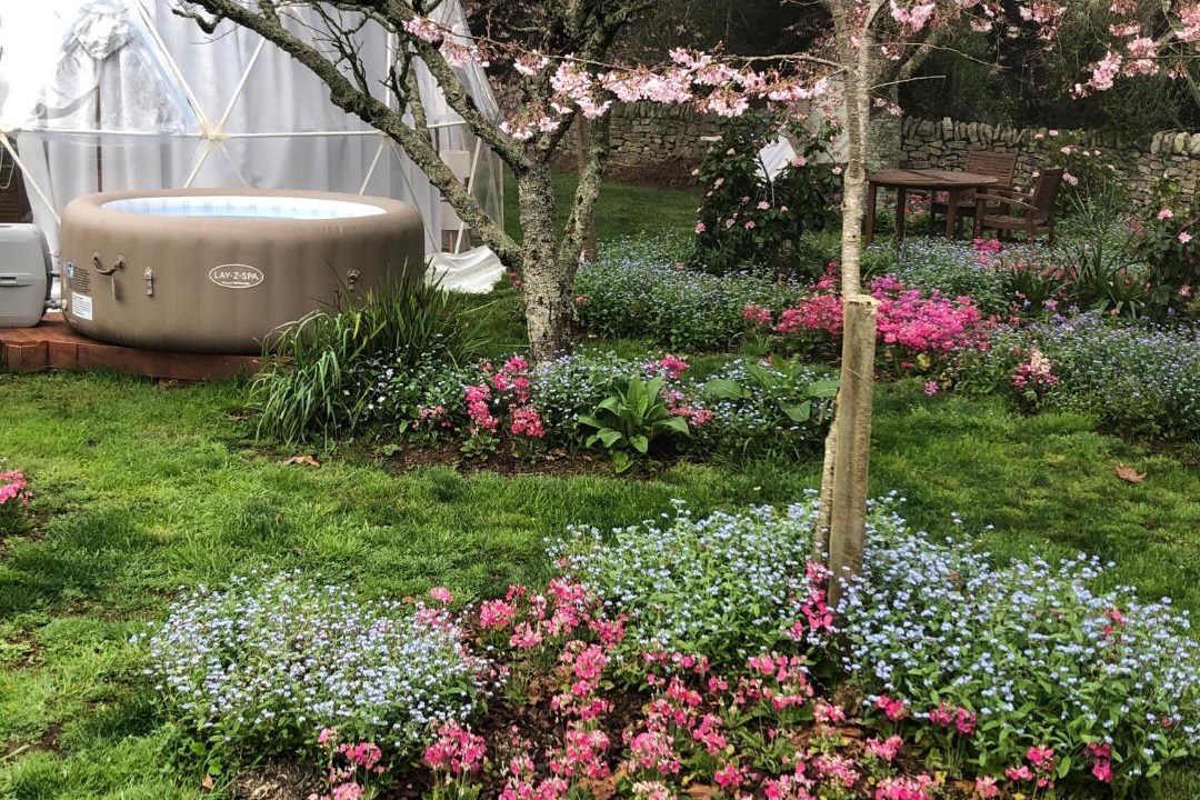 Photo of Others in Tamahere