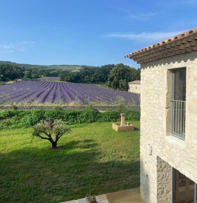 Photo of Buildings in Puygiron