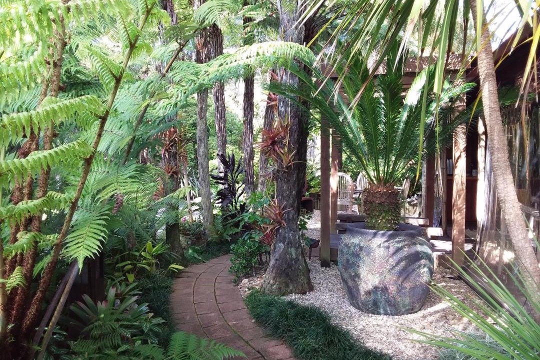 Photo of Others in Coromandel