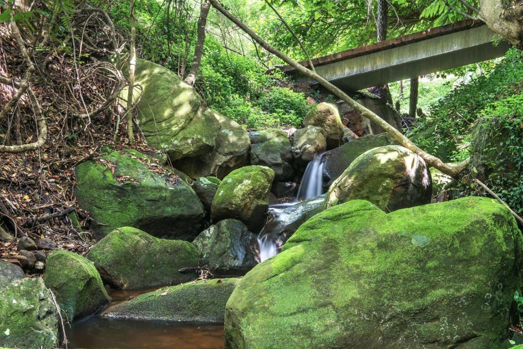 Photo of Others in Bellawongarah