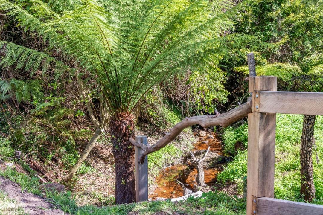 Photo of Others in Bellawongarah