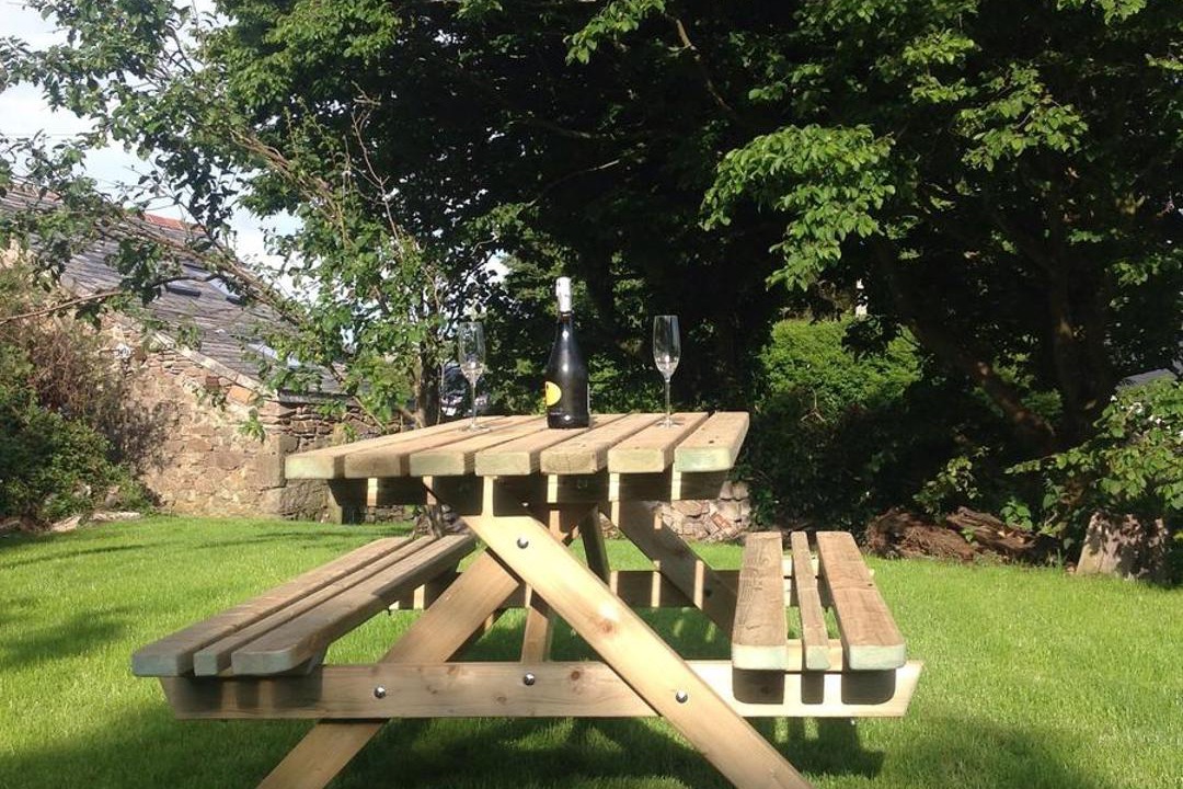 Photo of Others in Port Isaac