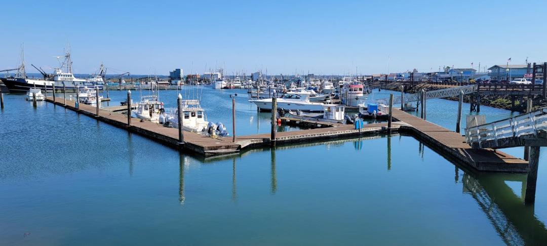 Photo of Others in Westport