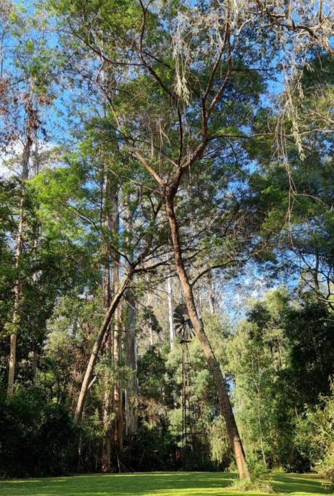 Photo of Others in Cabbage Tree Creek