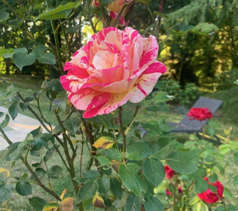 Photo of Others in Saint-Laurent-Nouan