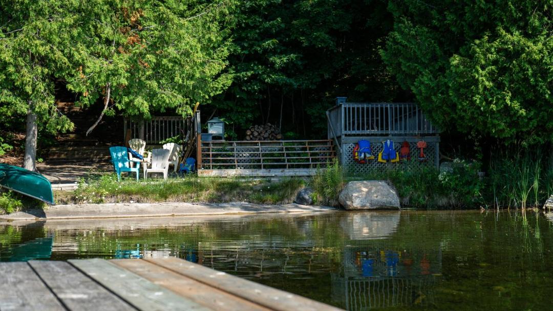 Photo of Others in Tay Valley