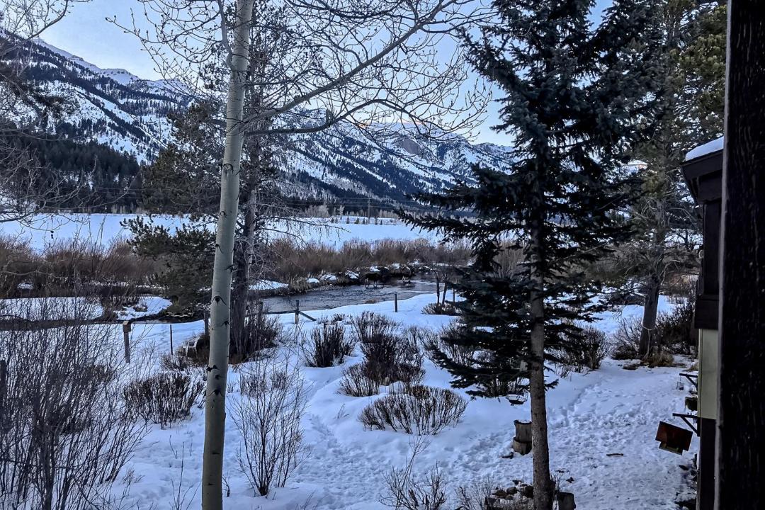 Photo of Others in Moose Wilson Road