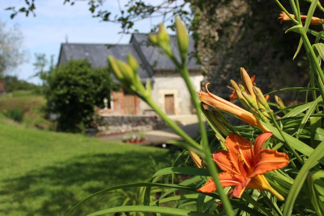 Photo of Others in Cerans-Foulletourte