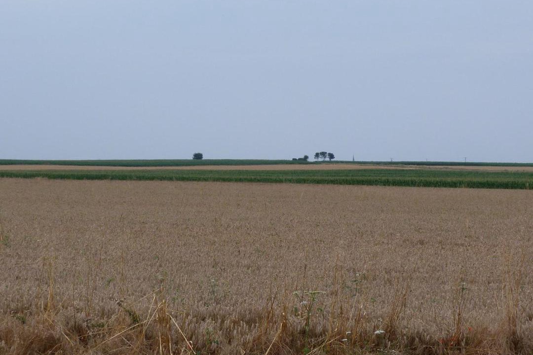 Photo of Others in Dureil