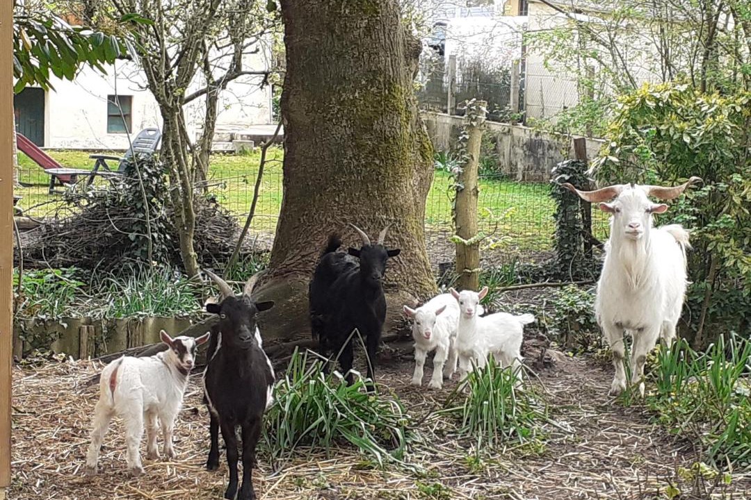 Photo of Others in Cerans-Foulletourte