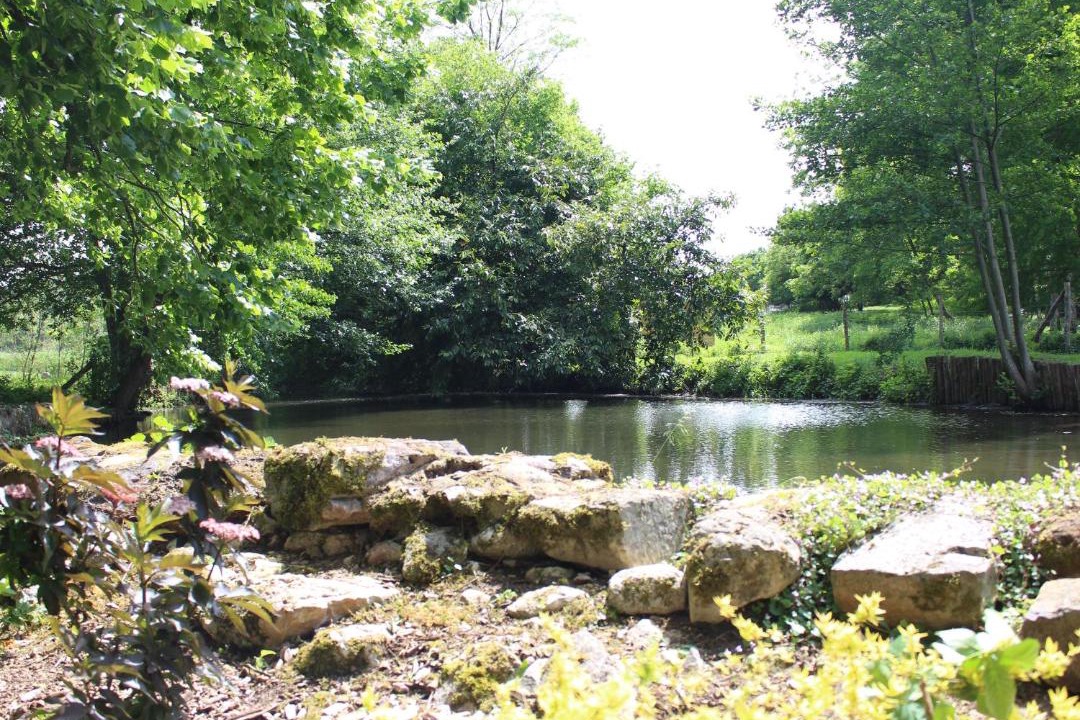 Photo of Others in Cerans-Foulletourte