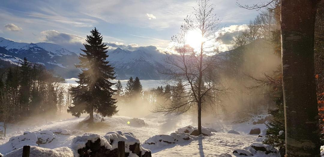 Photo of Others in Meiringen