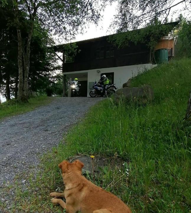Photo of Others in Meiringen
