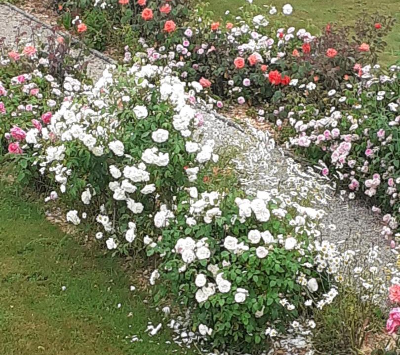 Photo of Others in Gesvres