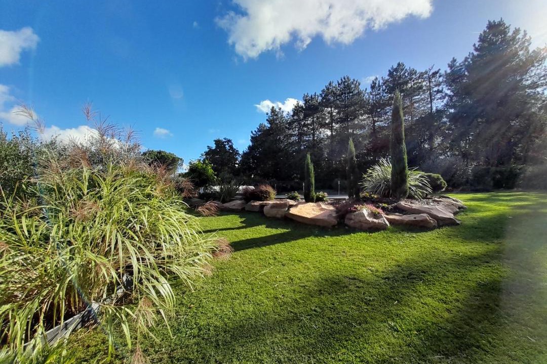 Photo of Others in Angrie