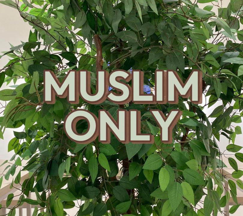 Photo of Others in Pauh