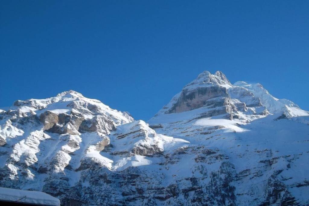 Photo of Others in Gimmelwald