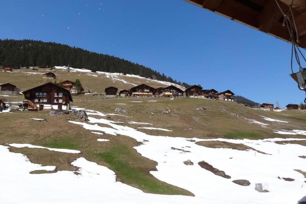 Photo of Others in Gimmelwald