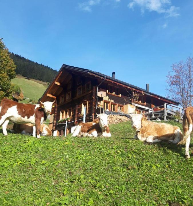 Photo of Others in Gimmelwald