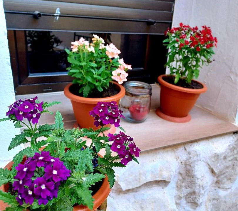 Photo of Patio Balcony in San Juan del Monte