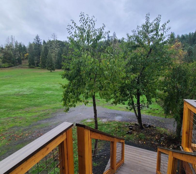 Photo of Others in Douglas County